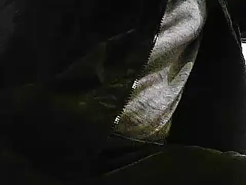 Snapshot of papiculo86 chatting on January 29, 9:33 am papiculo86 online show from January 29, 9:33 am