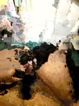 Stud 555 online show from February 26, 6:59 am