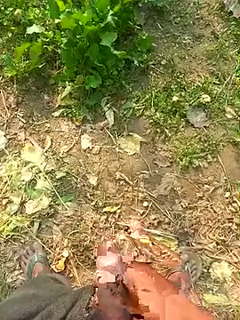 FinableKnee online show from November 24, 6:36 am