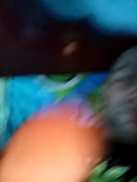 EISONREINA11 online show from November 4, 1:12 pm