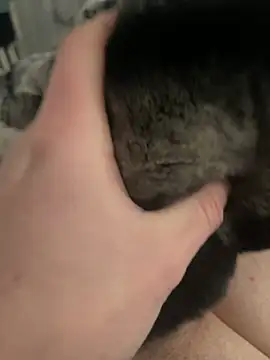 Furdale online show from February 24, 1:21 pm