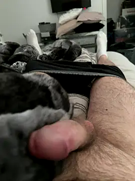 Furdale online show from October 14, 2:57 pm