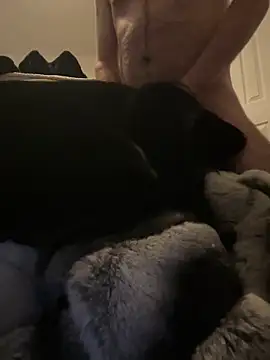 Furdale online show from December 30, 3:35 pm