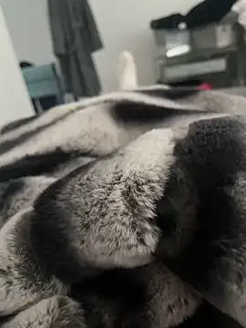 Furdale online show from December 18, 11:56 am