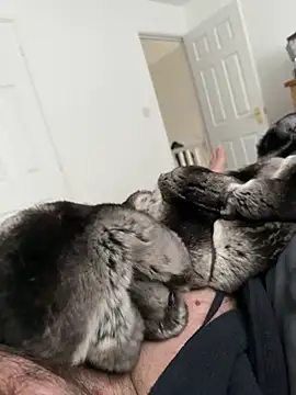 Furdale online show from April 25, 11:35 am