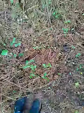 Boring one online show from October 22, 12:42 pm