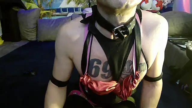 druckfug online show from November 4, 9:38 pm