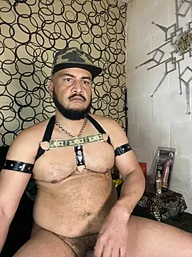 the master foal  online show from March 17, 11:40 pm