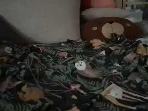 Snapshot of Perwers_41 chatting on November 2, 2:21 pm Perwers 41 online show from November 2, 2:21 pm