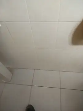 sagrado 1989 online show from February 16, 12:19 am