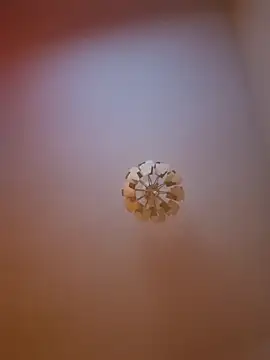 cuci45 online show from March 31, 6:31 pm