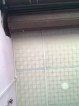 Hullax online show from March 18, 2:36 am