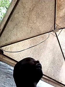 HARLEXBIGCOCK online show from December 10, 6:38 pm