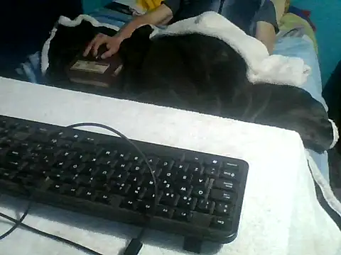 Snapshot of malekon76 chatting on September 26, 10:35 am malekon76 online show from September 26, 10:35 am