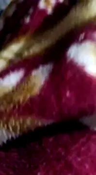 Longlund9 online show from December 15, 4:48 pm