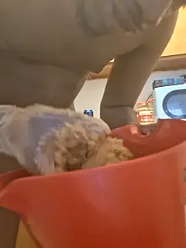 blkhereforall online show from March 25, 7:40 pm