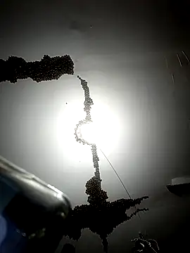 ColdVisitor online show from February 6, 1:35 am