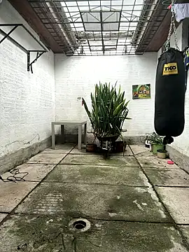 oliver price1 online show from January 11, 8:34 pm